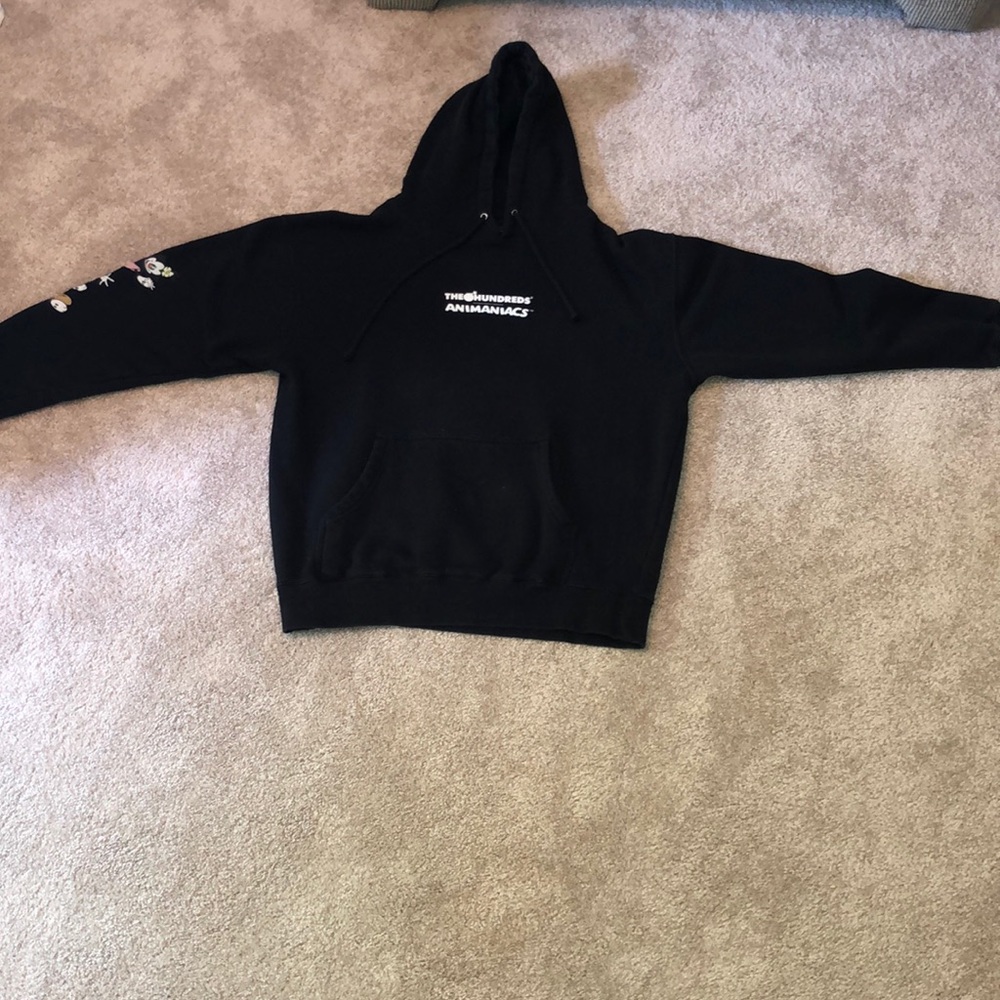 brand: the hundreds, black animaniacs sweatshirt
